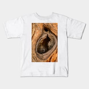 Tree Hollow Kids T-Shirt